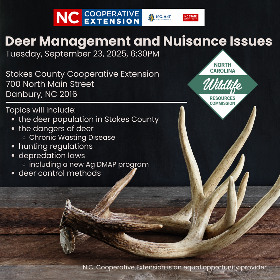 photo of deer sheds on a wooden table