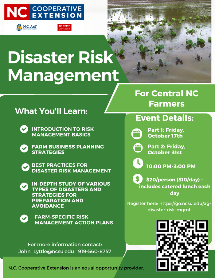 Picture of water with plants growing up through them. 