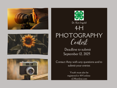 Dr. Kim Ingold Photography flyer