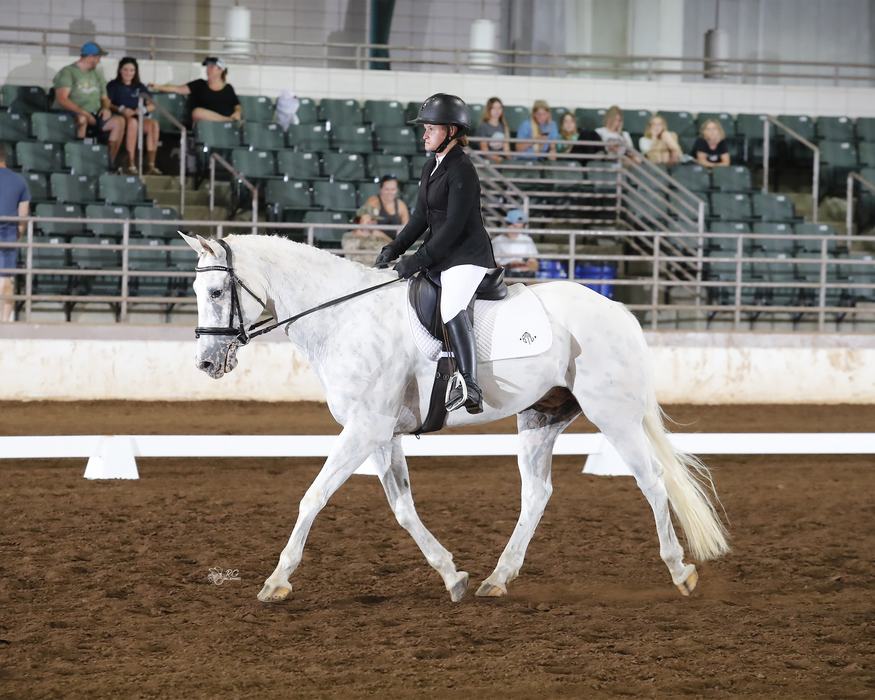 Rider in black jacket and white breeches trotting a gray horse in an indoor dressage arena