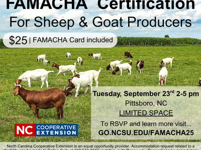 FAMACHA Certification for Sheep & Goat Producers