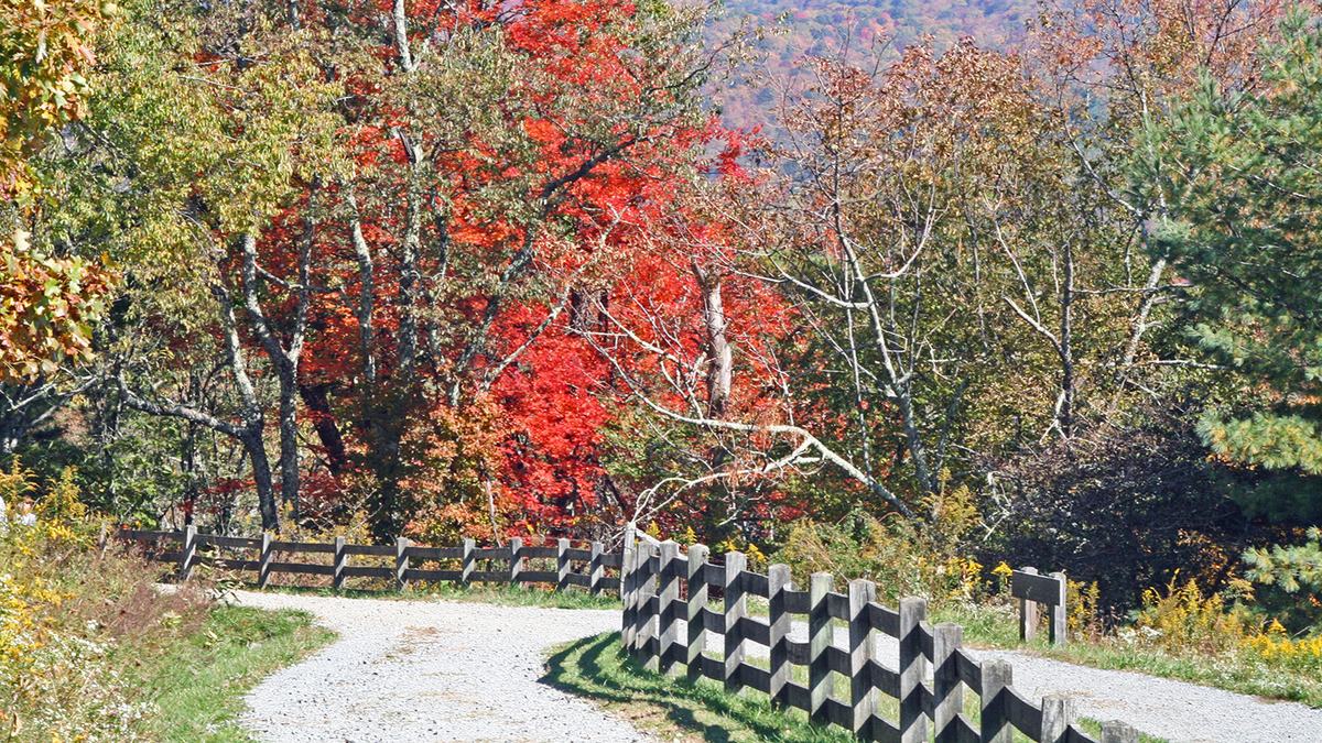 NC State Extension helps the tourism industry Tourism Extension