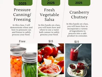 Let's make a delicious vegetable salsa!