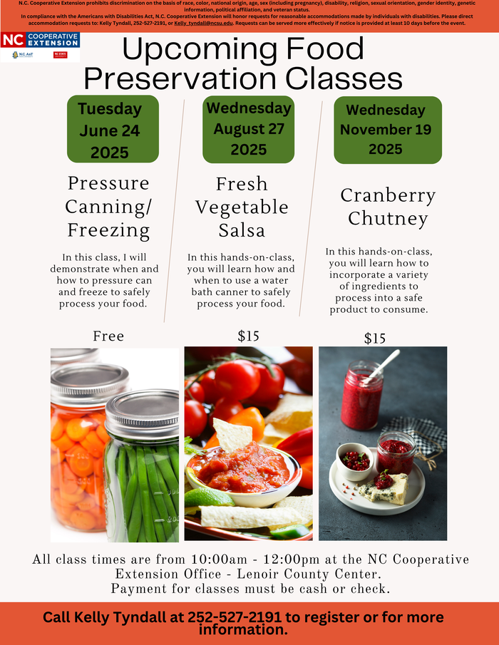 Let's make a delicious vegetable salsa!