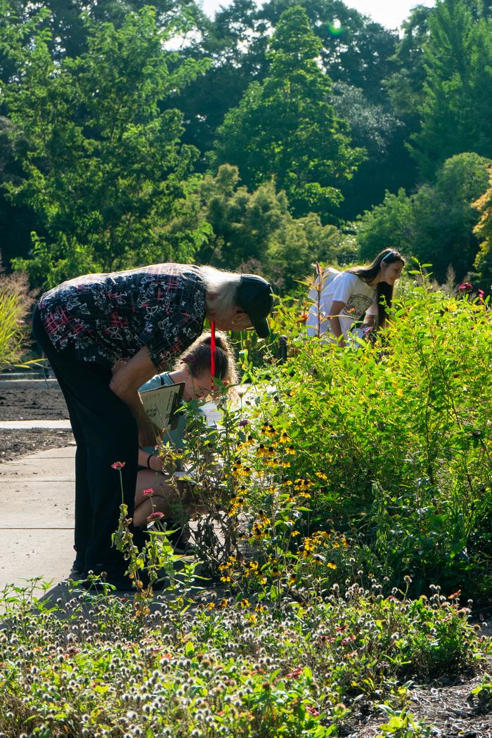 Extension Master Gardener helping participant identify different pollinators