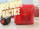 Horse bowl practice with buzzer and light