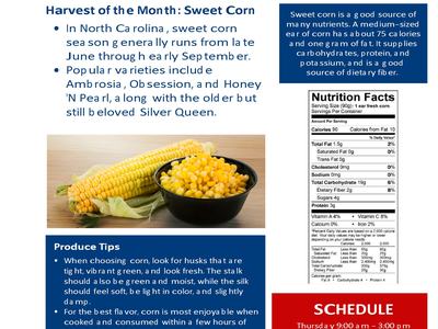 Healthy Connections with Extension Newsletter.