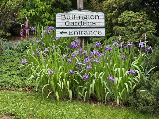 Bullington Gardens with Purple & Green Flowers