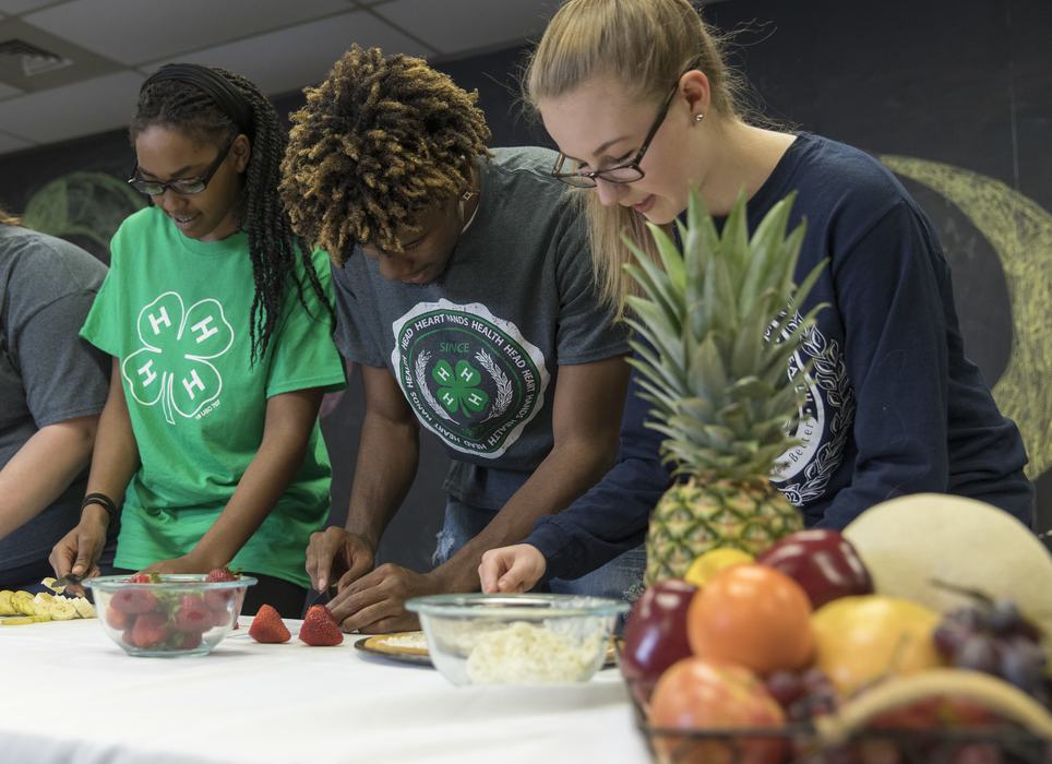 Learning some foundational knowledge in the kitchen at a younger age is valuable. Provided by National 4-H.jpg