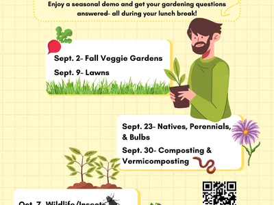 Flyer for Live at Lunch: Tuesdays in the Garden