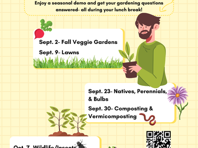 Flyer for Live at Lunch: Tuesdays in the Garden