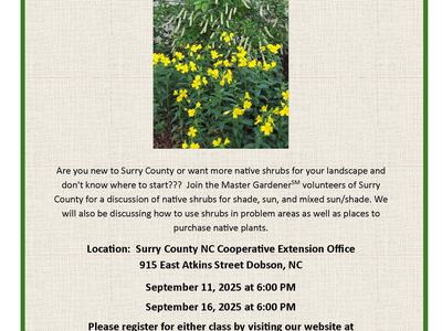 Native Shrubs for Your Landscape Flyer