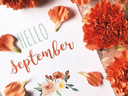 September Newsletter
