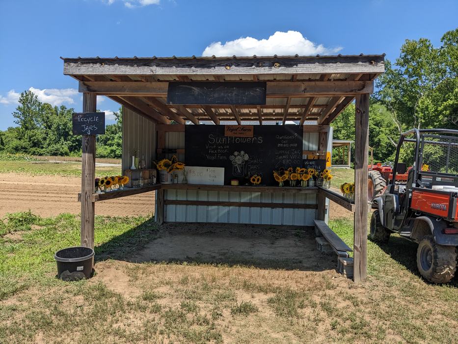 Sunflower Farm Stand