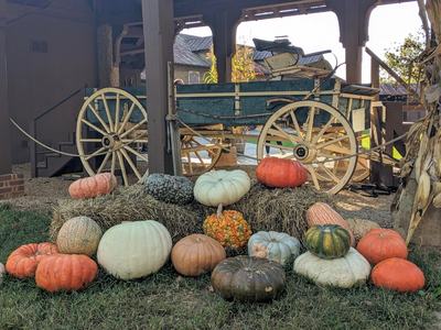 Display of decorative pumpkins