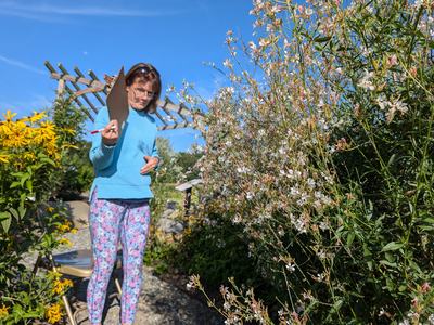 Extension Master Gardener Volunteer Tracie Bowers counts insects on the giant beeblossom in the Pollinator Haven Garden during the 2024 GSEPC event. It is easy to participate in the Great Southeast Pollinator Census wherever you are. Grab your datasheet, 