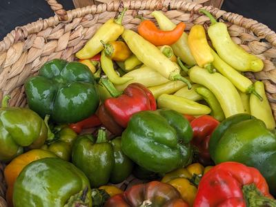 Peppers