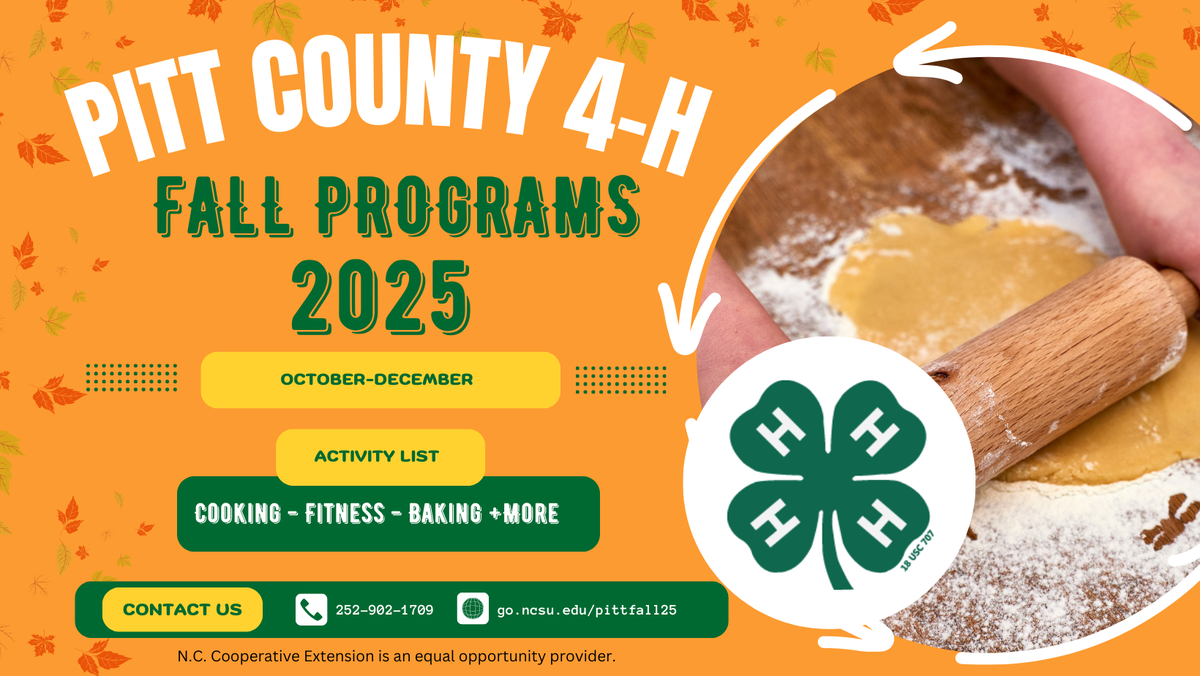 Pitt County 4-H Fall Programs 2025, October -December, Cooking, fitness, baking, and more 