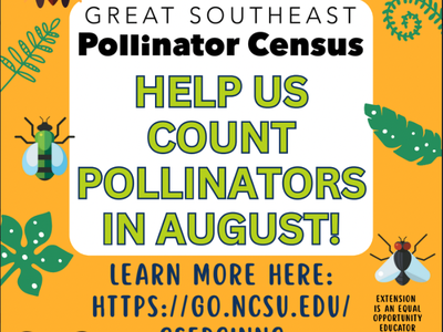 North Carolina — Great Southeast Pollinator Census: Help us count pollinators in August!