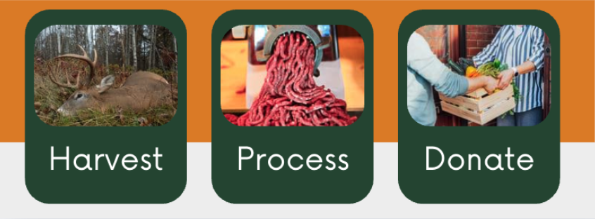 Harvest Process Donate