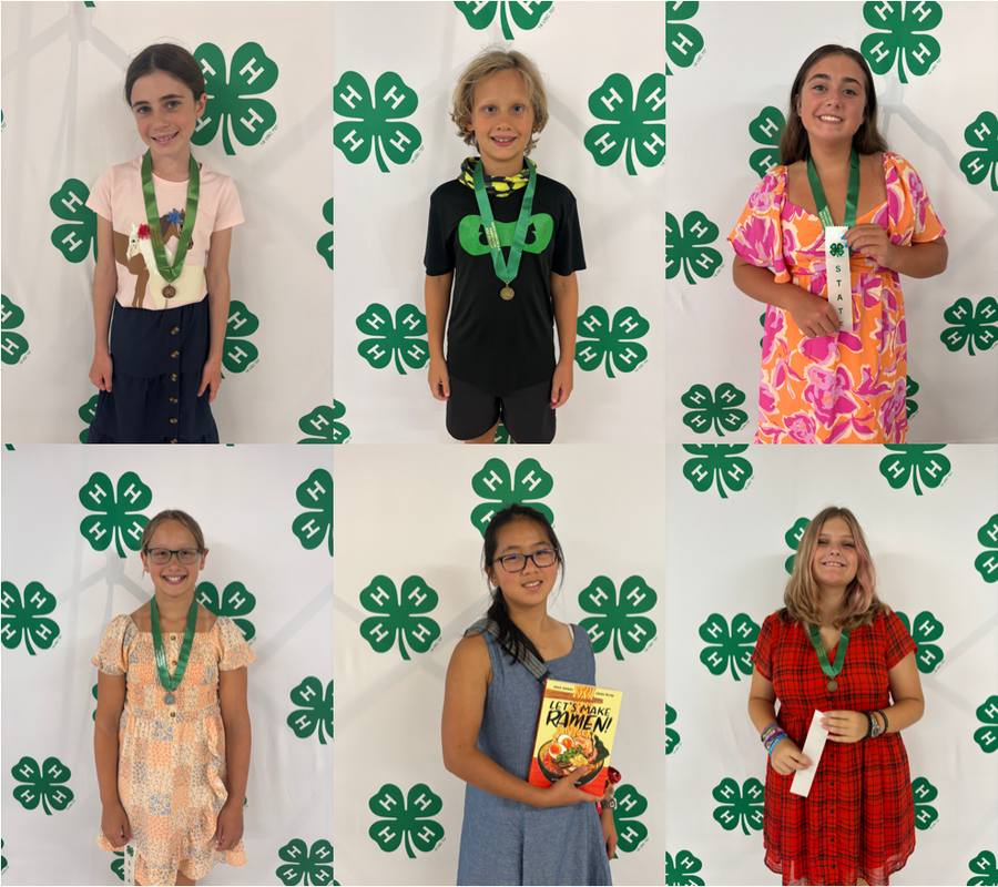Presentation Participants (Top Row L to R) Ella H., Hobie E., Cate-Hill B. (Bottom Row L to R) Isla E., Catherine P., Miranda S.