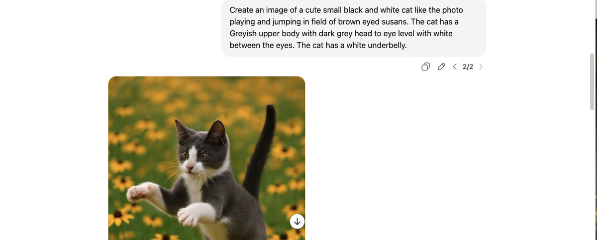 screen shot of an ai prompt