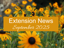 September 2025 Newsletter