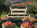 Apple orchard with 4 bushels of apples and the words "September Learning Opportunities"