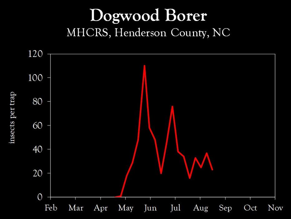Chart showing insect population trends
