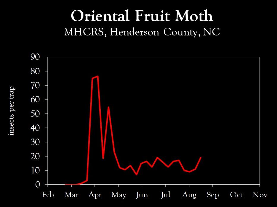Chart showing insect population trends