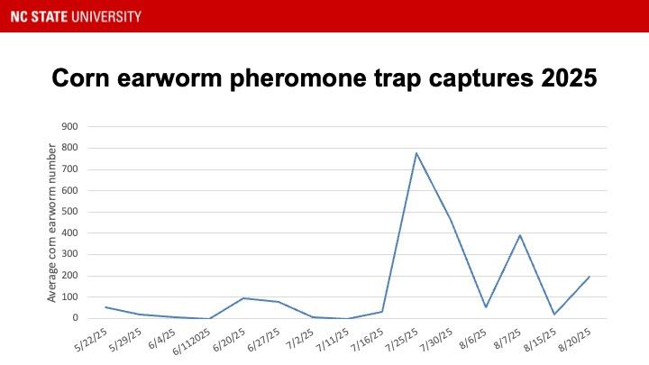 Graph showing corn earworm moth activity