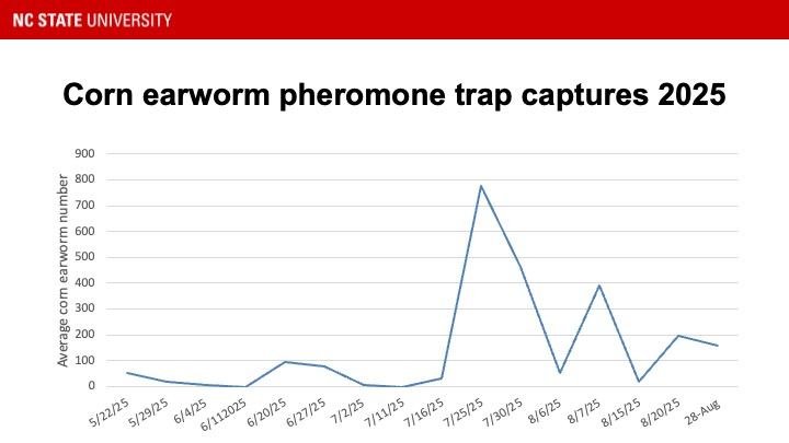 Light and Pheromone Trap Captures for Caterpillar Pests