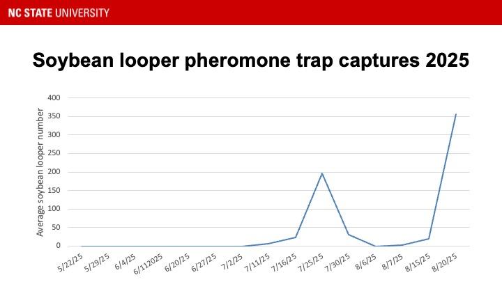 Graph showing soybean looper moth activity