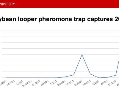 Graph showing soybean looper moth activity