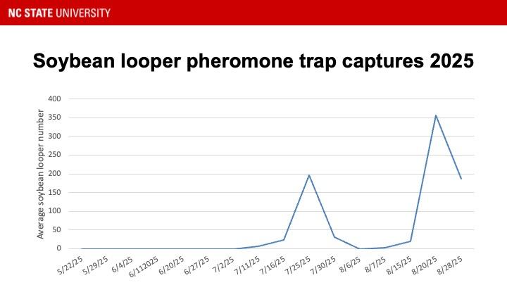 Graph showing soybean looper moth activity
