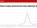 Line chart titled "Soybean looper pheromone trap captures 2025" showing peak ~200 on 7/25/25