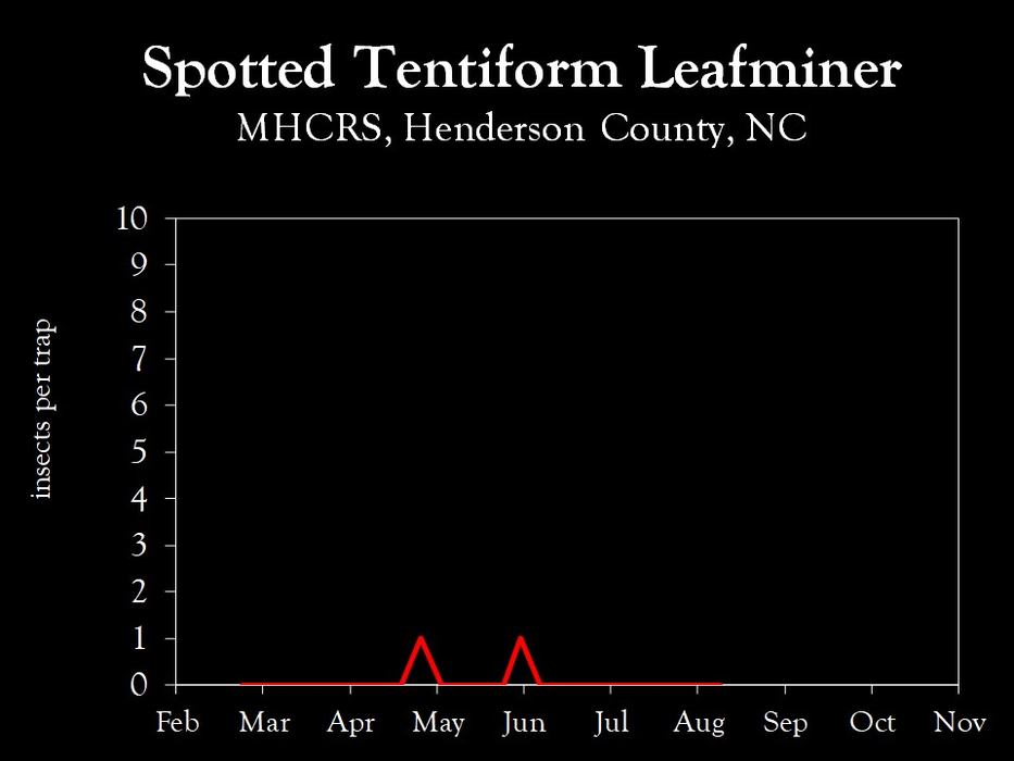 Chart showing insect population trends