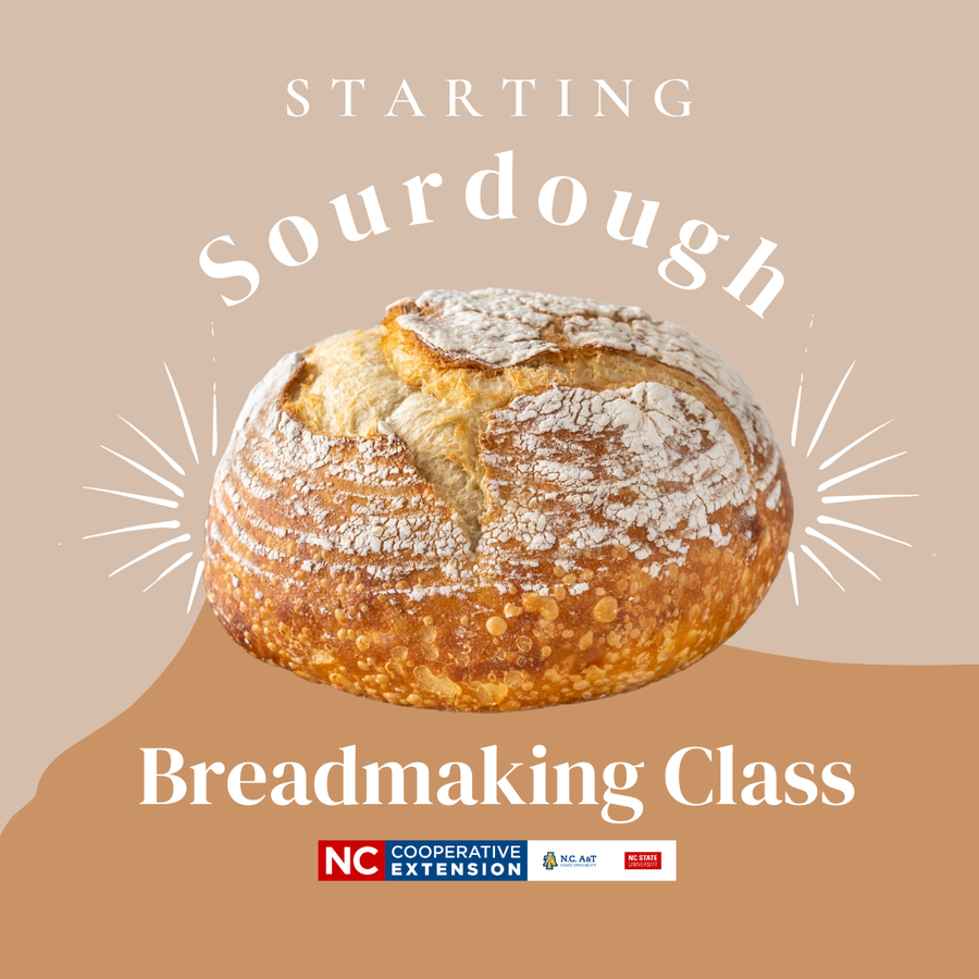 Starting Sourdough
