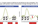Forage systems of tall fescue and tall fescue plus stockpiling. 