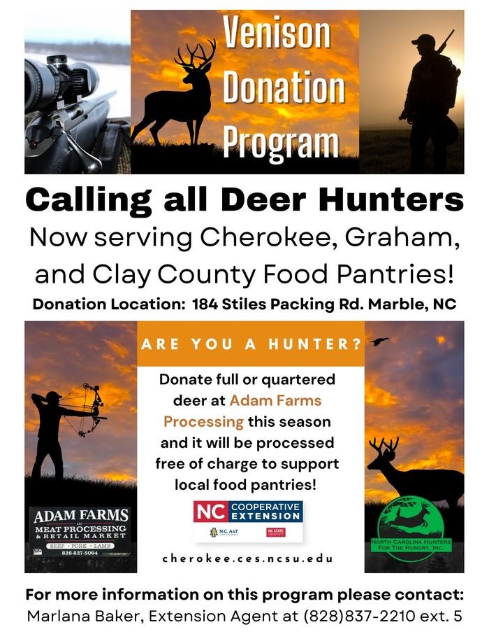 Printable Flyer VDON