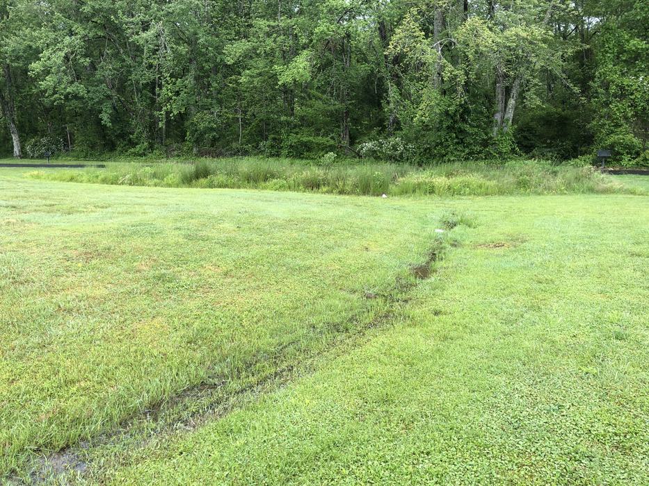 etowah park wetlands