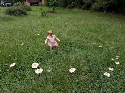 Fairy Ring - Photo by Amanda Bratcher