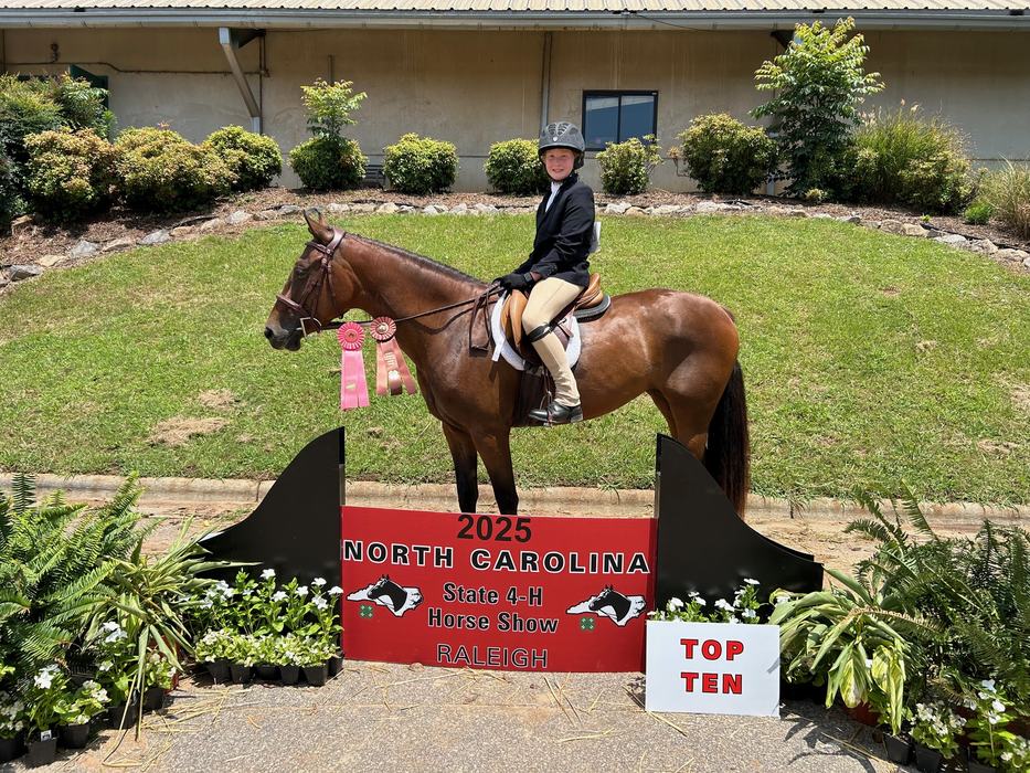 State Horse Show