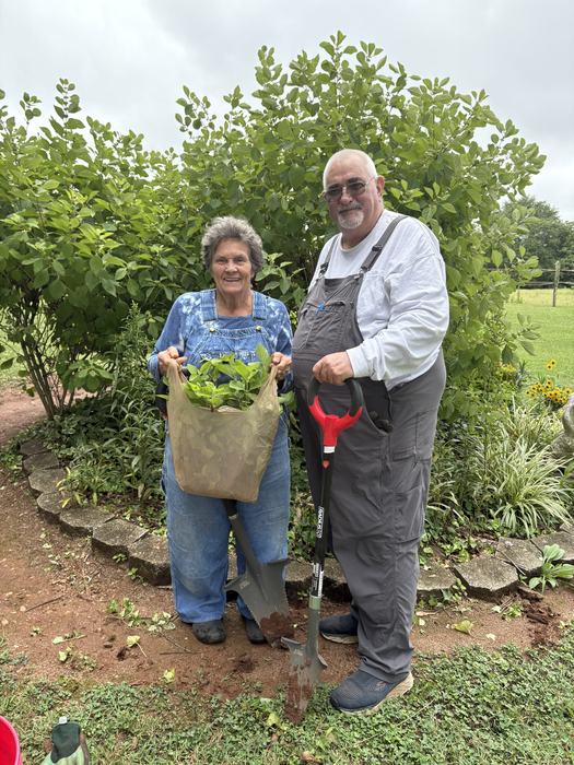 A man and woman work in a garden together.