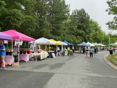 tents for a farmers market