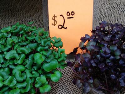 A sign selling MicroGreens for $2.