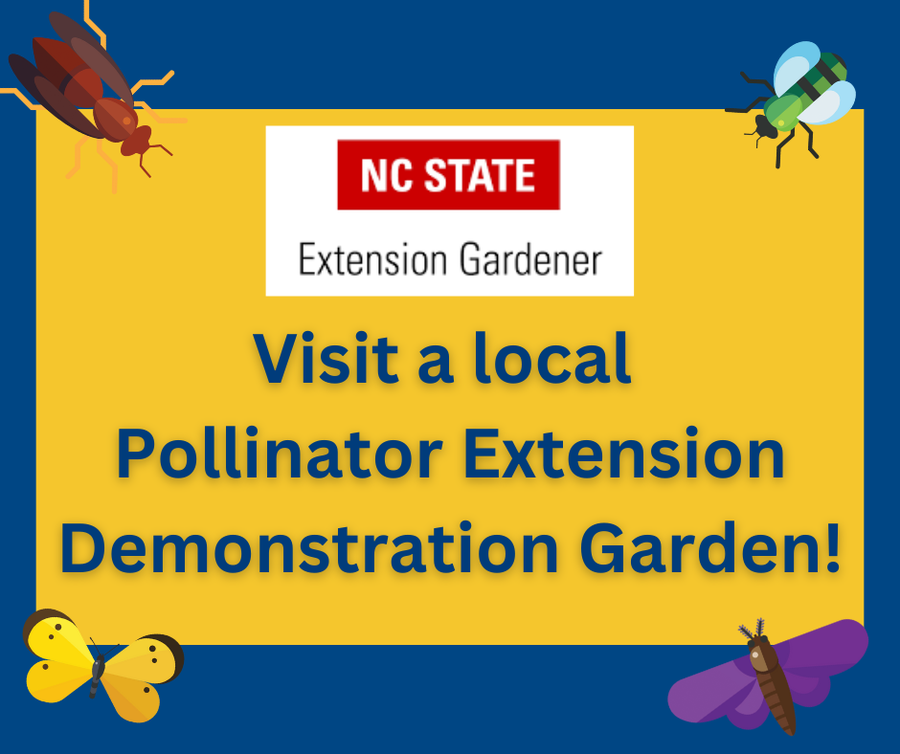 NC State Extension Gardener logo; text: "Visit a local Pollinator Extension Demonstration Garden!"