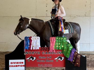 Girl on a horse surrounded by the ribbons she won