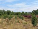horticulture