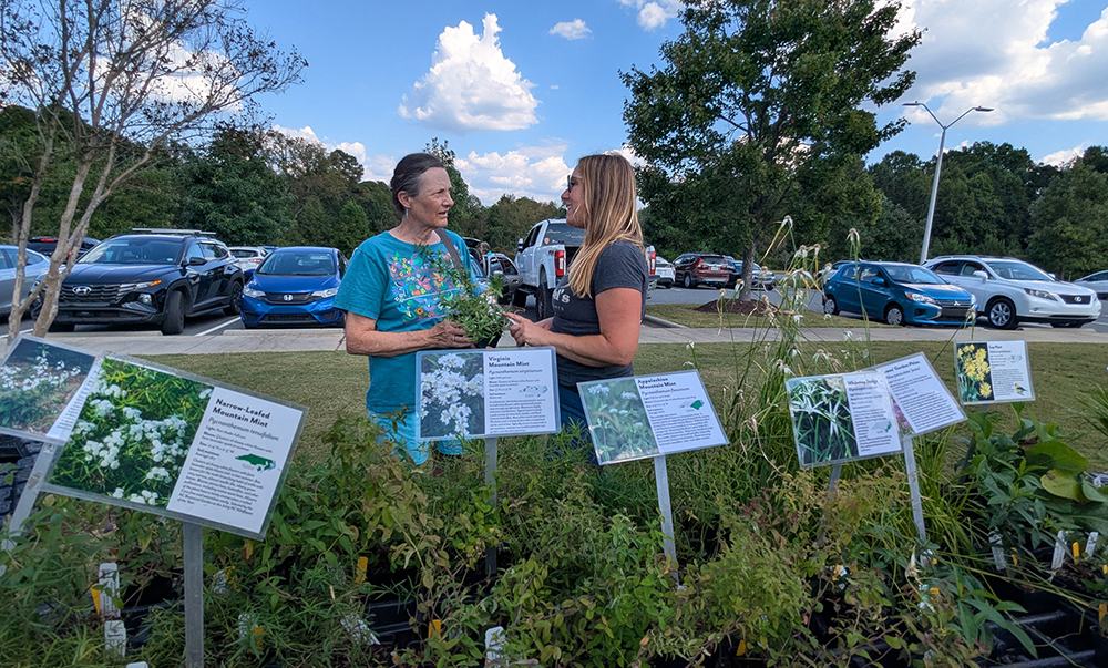 Rachel talks plants with one of her customers.